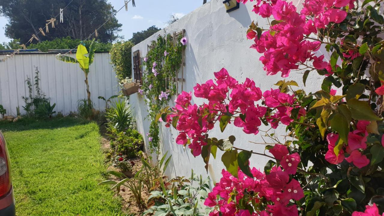 Casa Pelicano Чиклана де ла Фронтера Екстериор снимка